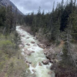 img 5399 frank napier jr.