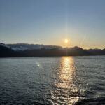 img 5526 frank napier jr.