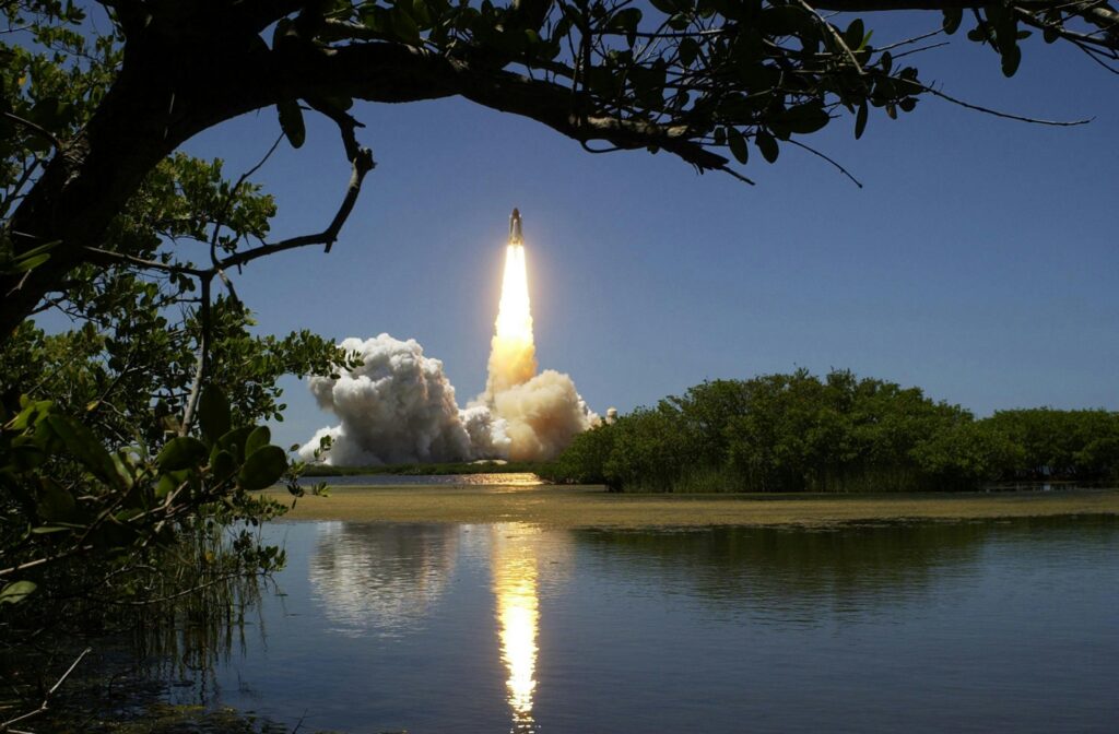 View of a rocket launching from Port Canaveral, with a body of water and tree in the foreground.