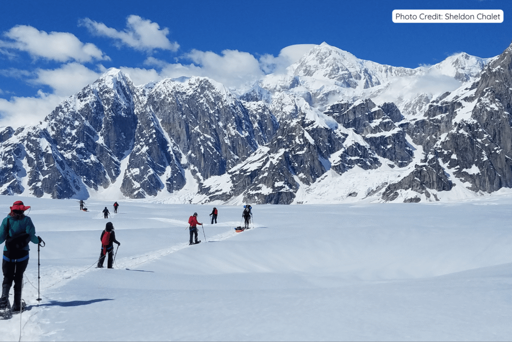 A group of adventurers snowshoeing across a vast snowy glacier in Denali National Park, Alaska, with massive snow-covered mountain peaks rising dramatically in the background under a bright blue sky.