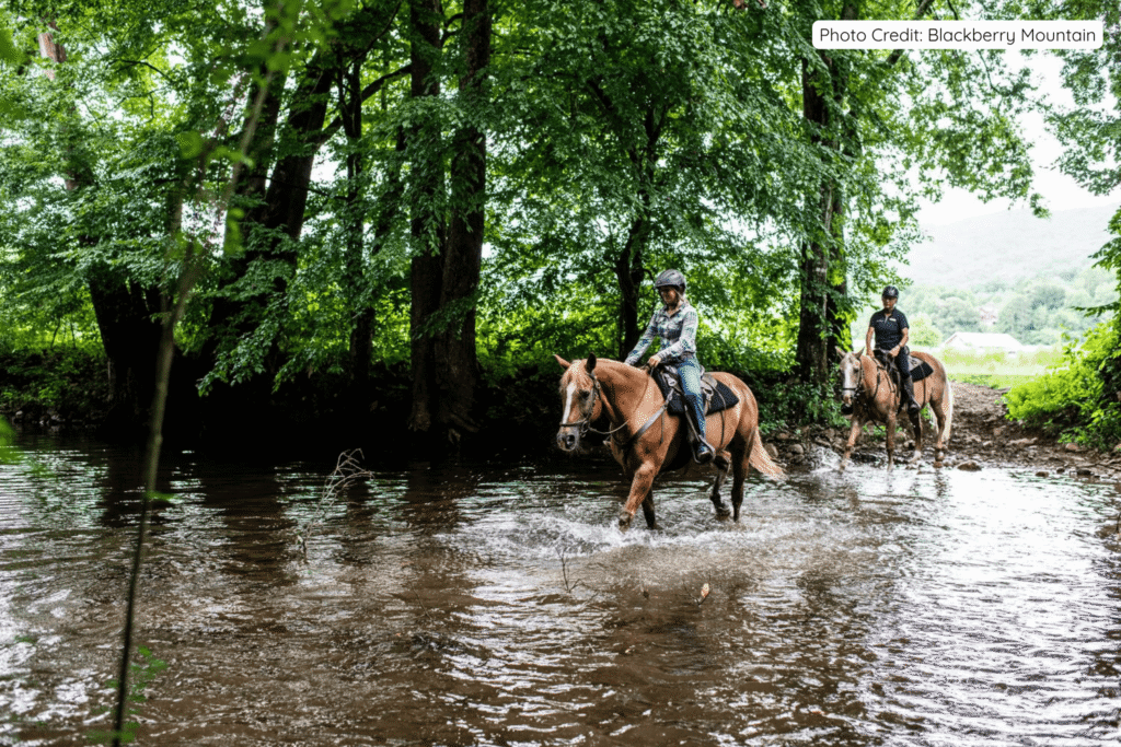 Two riders on horseback crossing a shallow creek surrounded by lush green trees at Blackberry Mountain in the Great Smoky Mountains, capturing the blend of adventure and nature.